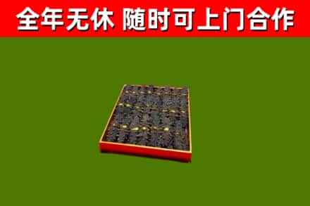 柳江回收海参